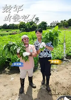 益智闯关综艺